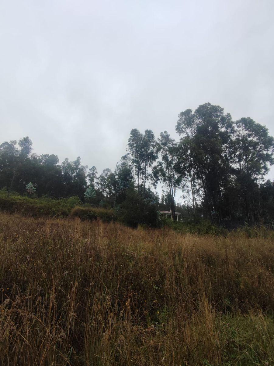 Venta Terreno Casi Plano en Conocoto – Valle de Los Chillos | Oportunidad de Inversión — imagen 3