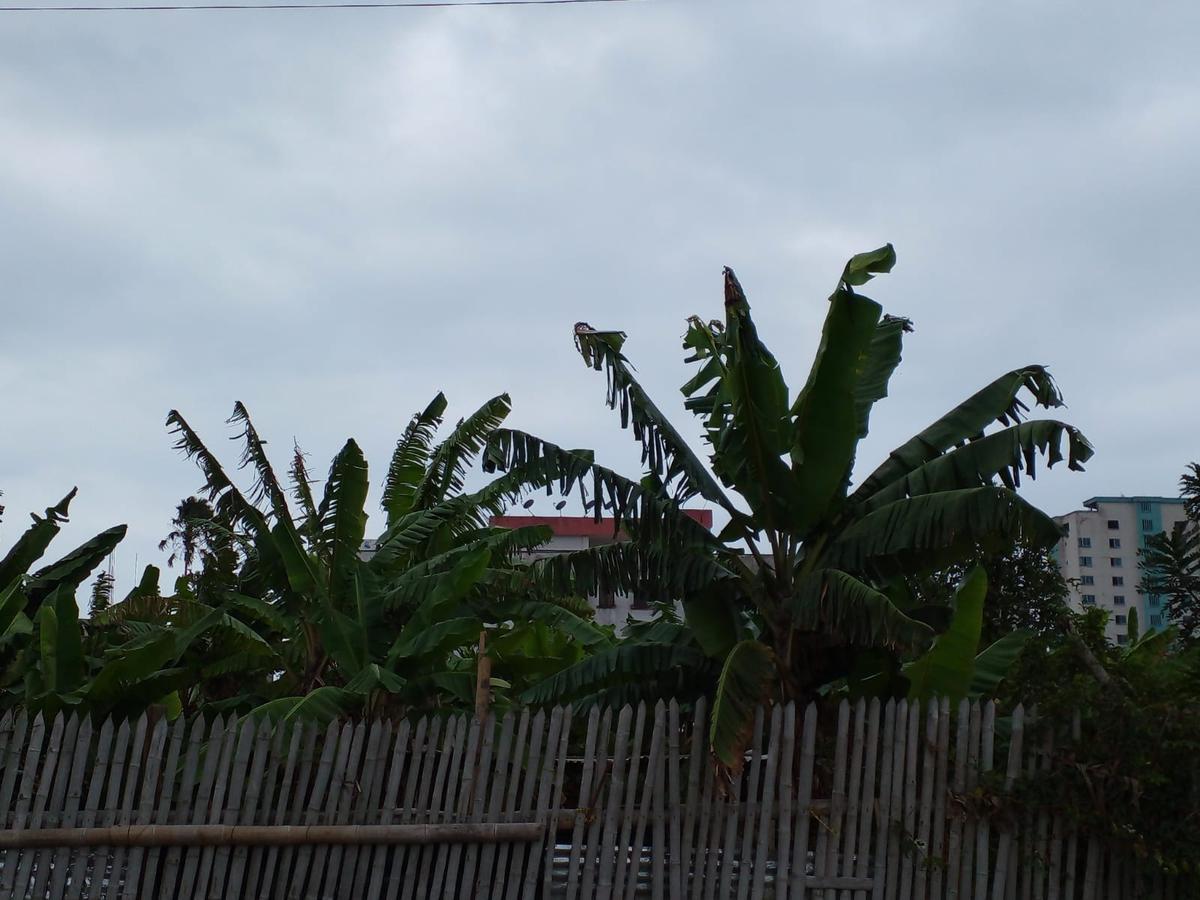 Vendo Lindo Terreno de 1800 m² en Tonsupa, Av del Pacífico, Acepto Ofertas — imagen 10