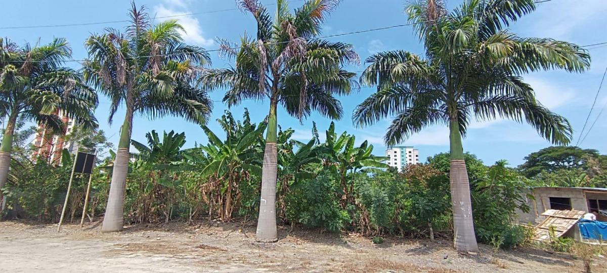 Vendo Lindo Terreno de 1800 m² en Tonsupa, Av del Pacífico, Acepto Ofertas — imagen 8