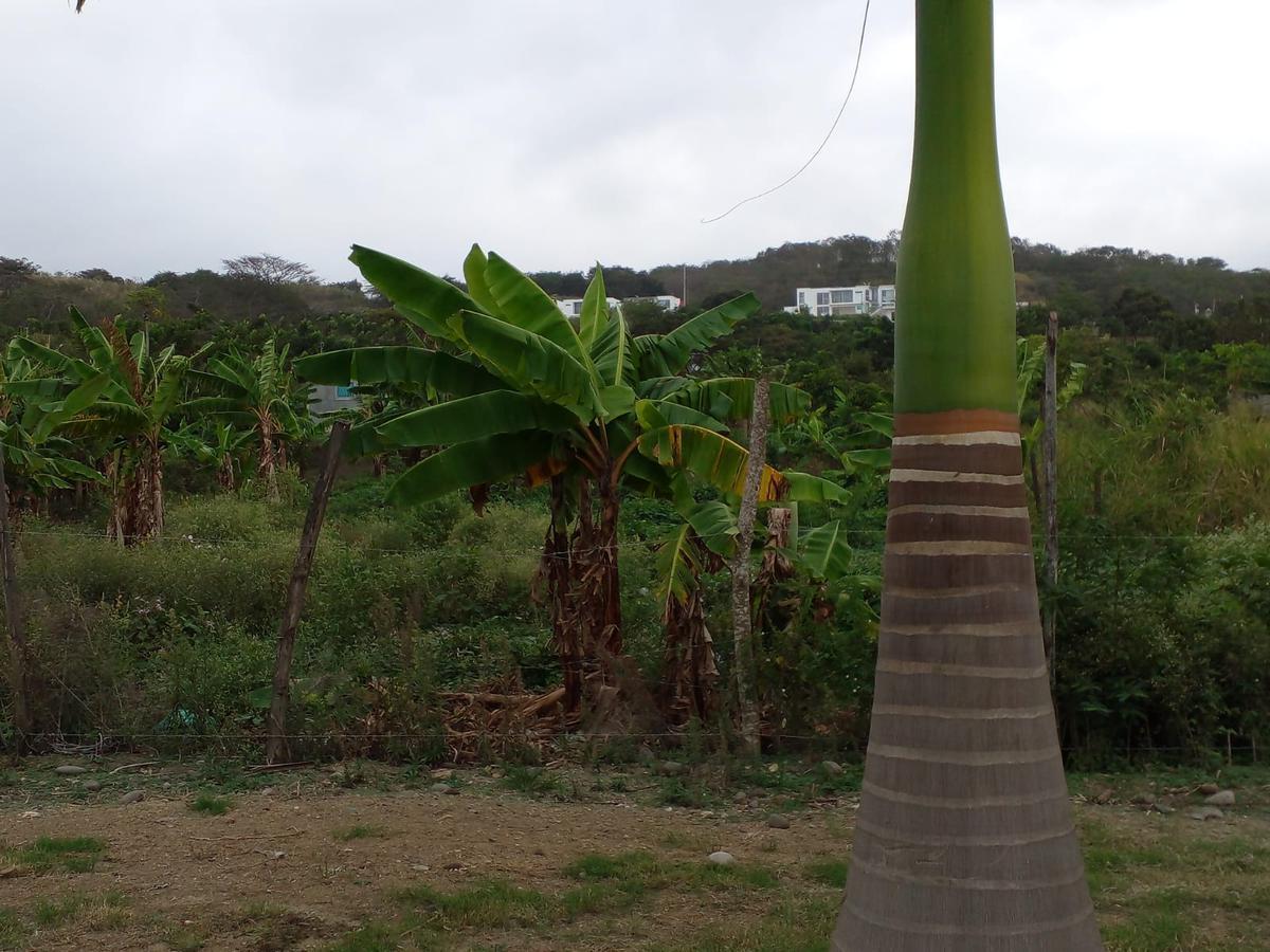 Vendo Lindo Terreno de 1800 m² en Tonsupa, Av del Pacífico, Acepto Ofertas — imagen 7