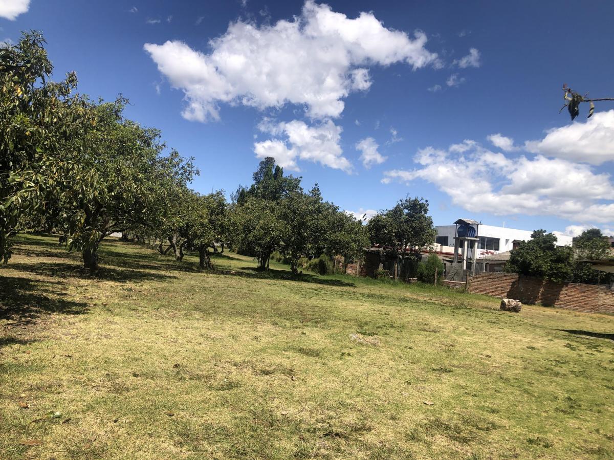 Venta Terreno 4.553 m² Av Universitaria, La Morita, Tumbaco — imagen 8