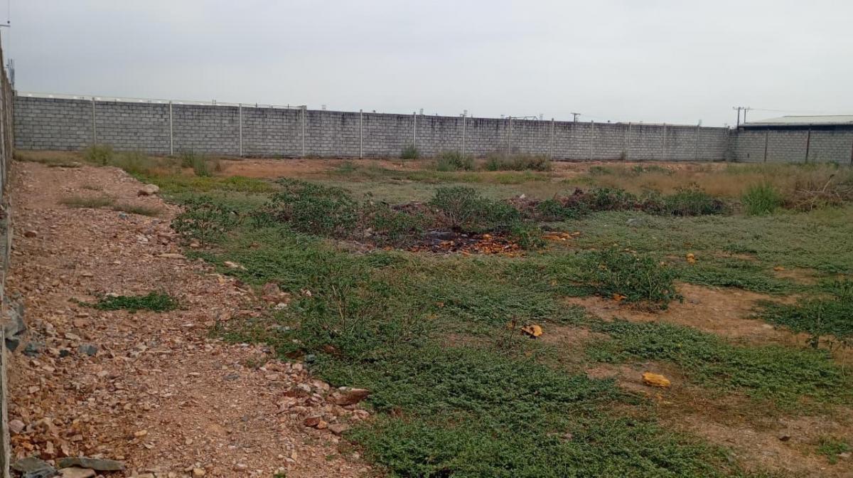 Venta de Terreno Duran Finca Vacacionales Delia Dana, Guayas — imagen 10