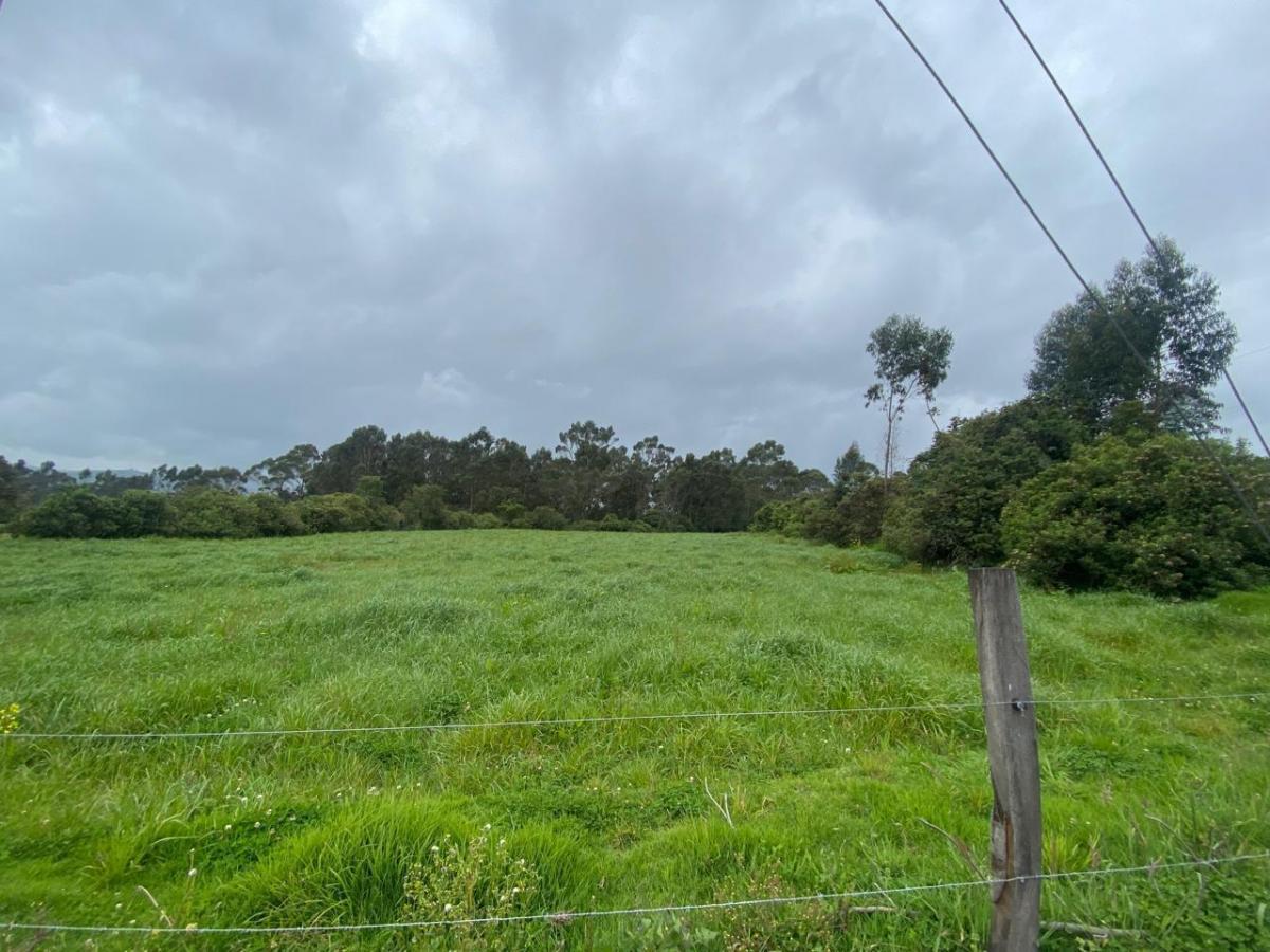 Venta Terrenos en Machachi — imagen 10