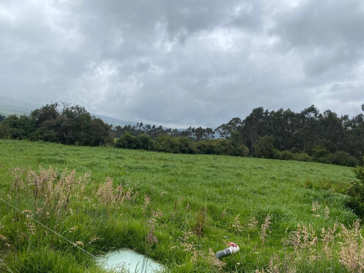 Venta Terrenos en Machachi — imagen 8