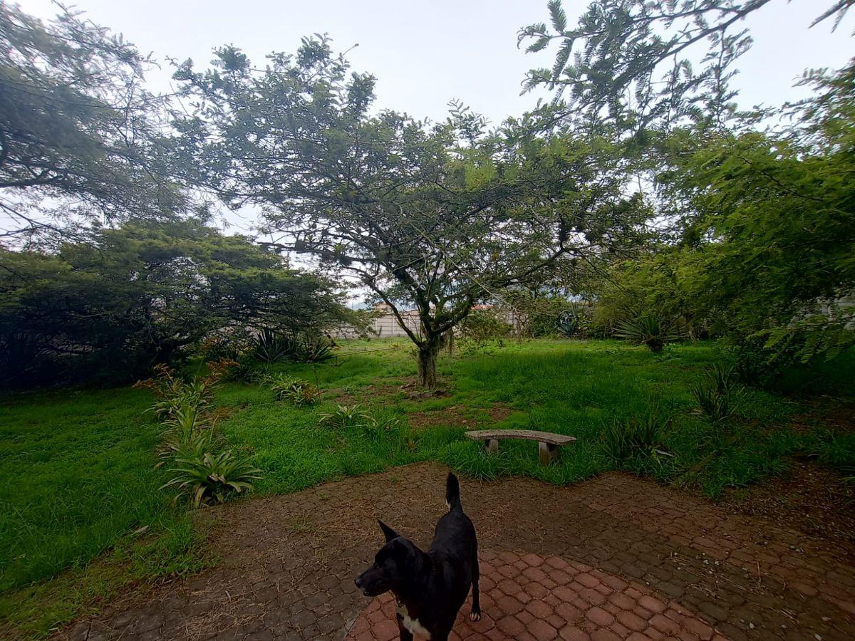 Vendo Terreno Plano 1.800 m² - $88.200 San Antonio de Pichincha - Mitad del Mundo Sector Rumicucho — imagen 9