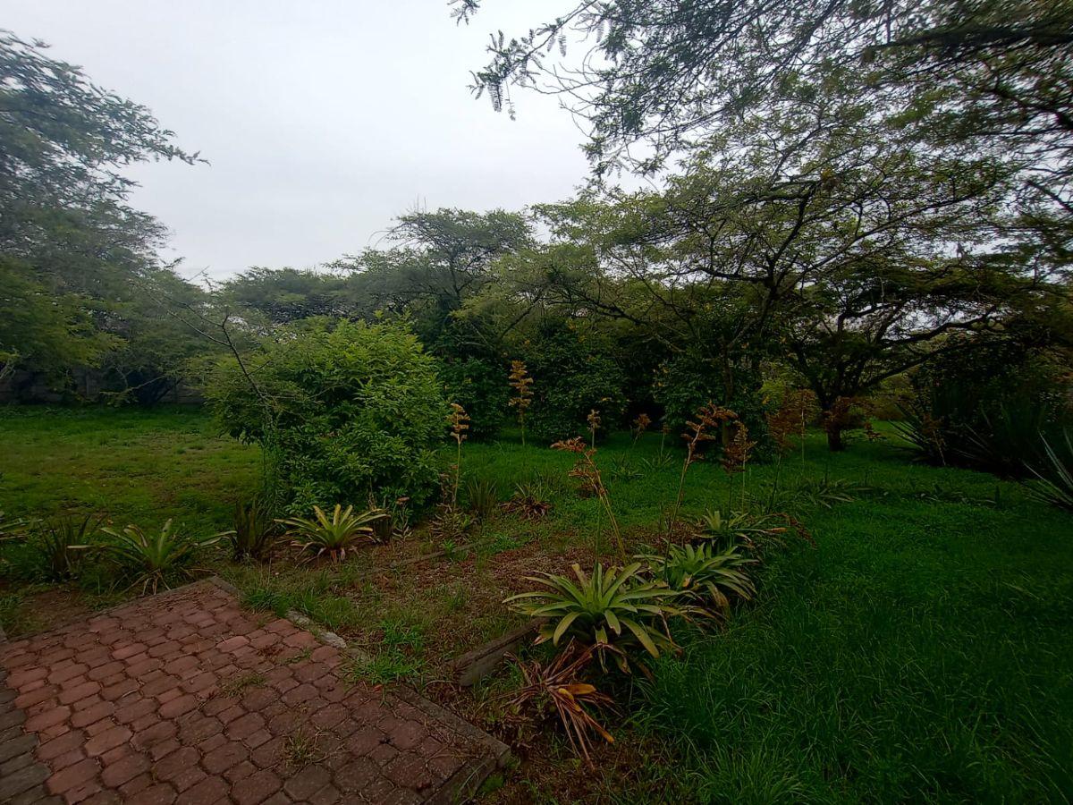 Vendo Terreno Plano 1.800 m² - $88.200 San Antonio de Pichincha - Mitad del Mundo Sector Rumicucho — imagen 7