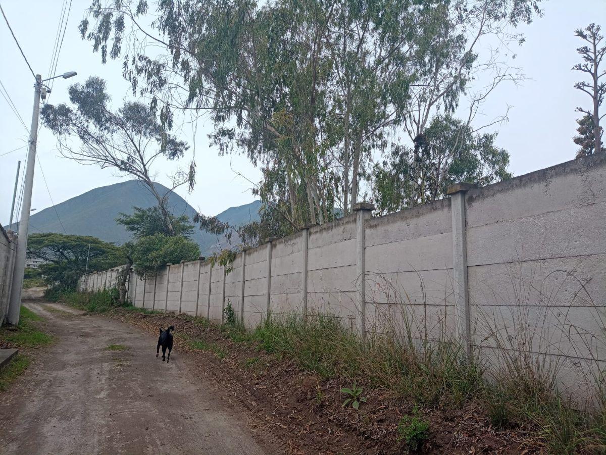 Vendo Terreno Plano 1.800 m² - $88.200 San Antonio de Pichincha - Mitad del Mundo Sector Rumicucho — imagen 6
