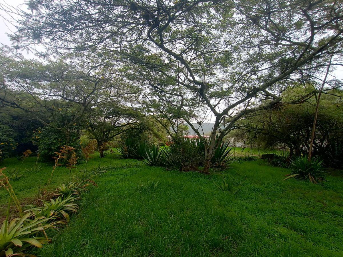 Vendo Terreno Plano 1.800 m² - $88.200 San Antonio de Pichincha - Mitad del Mundo Sector Rumicucho — imagen 5