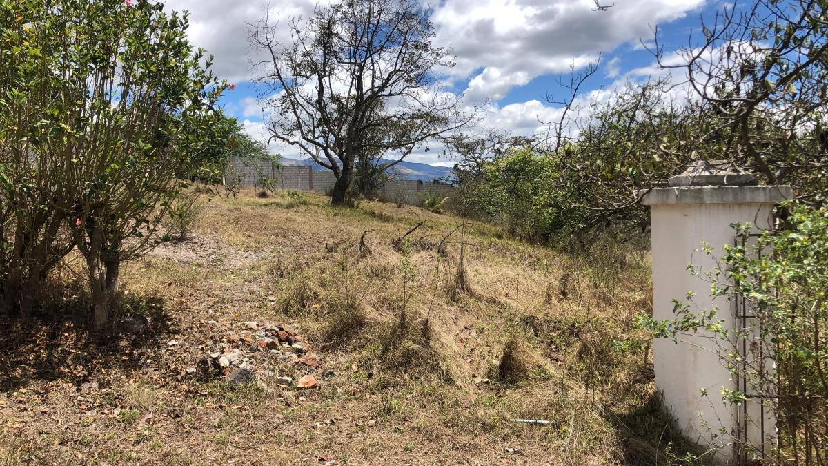 Puembo Terreno en Venta Ideal Para Costructores — imagen 8