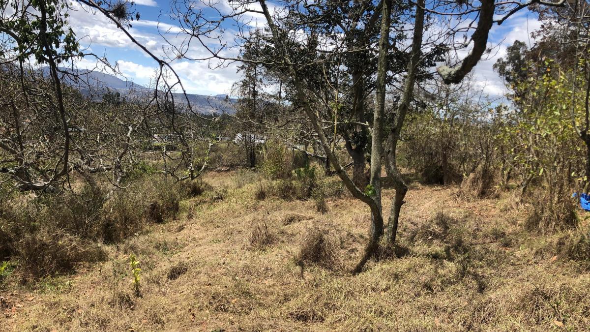 Puembo Terreno en Venta Ideal Para Costructores — imagen 7