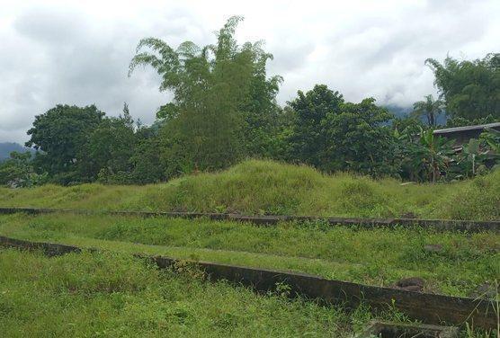 Se Vende Terreno en Montalvo, Los Ríos — imagen 3