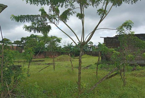 Se Vende Terreno en Montalvo, Los Ríos — imagen 2