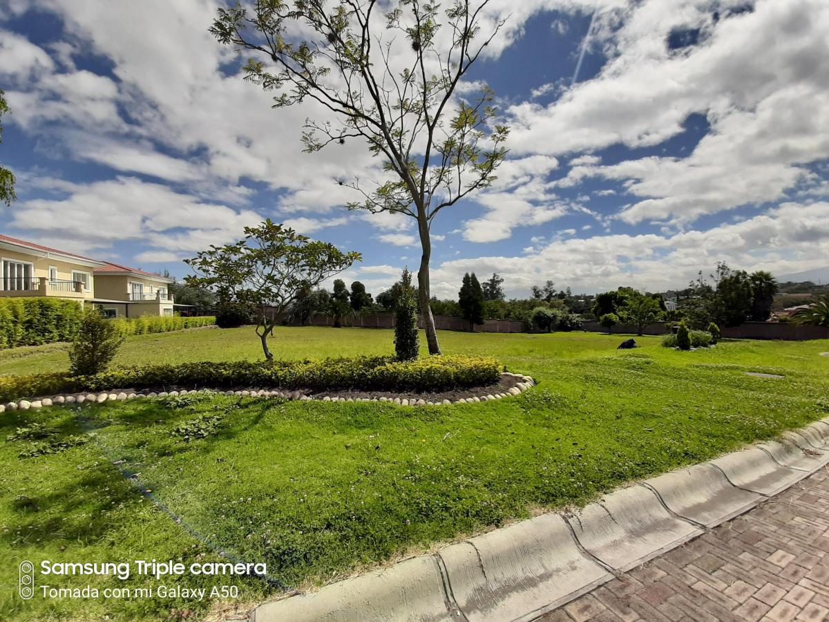 Puembo Dentro Urbanizacion Exclusiva Vendo 2.350 m² Terreno Plano — imagen 10