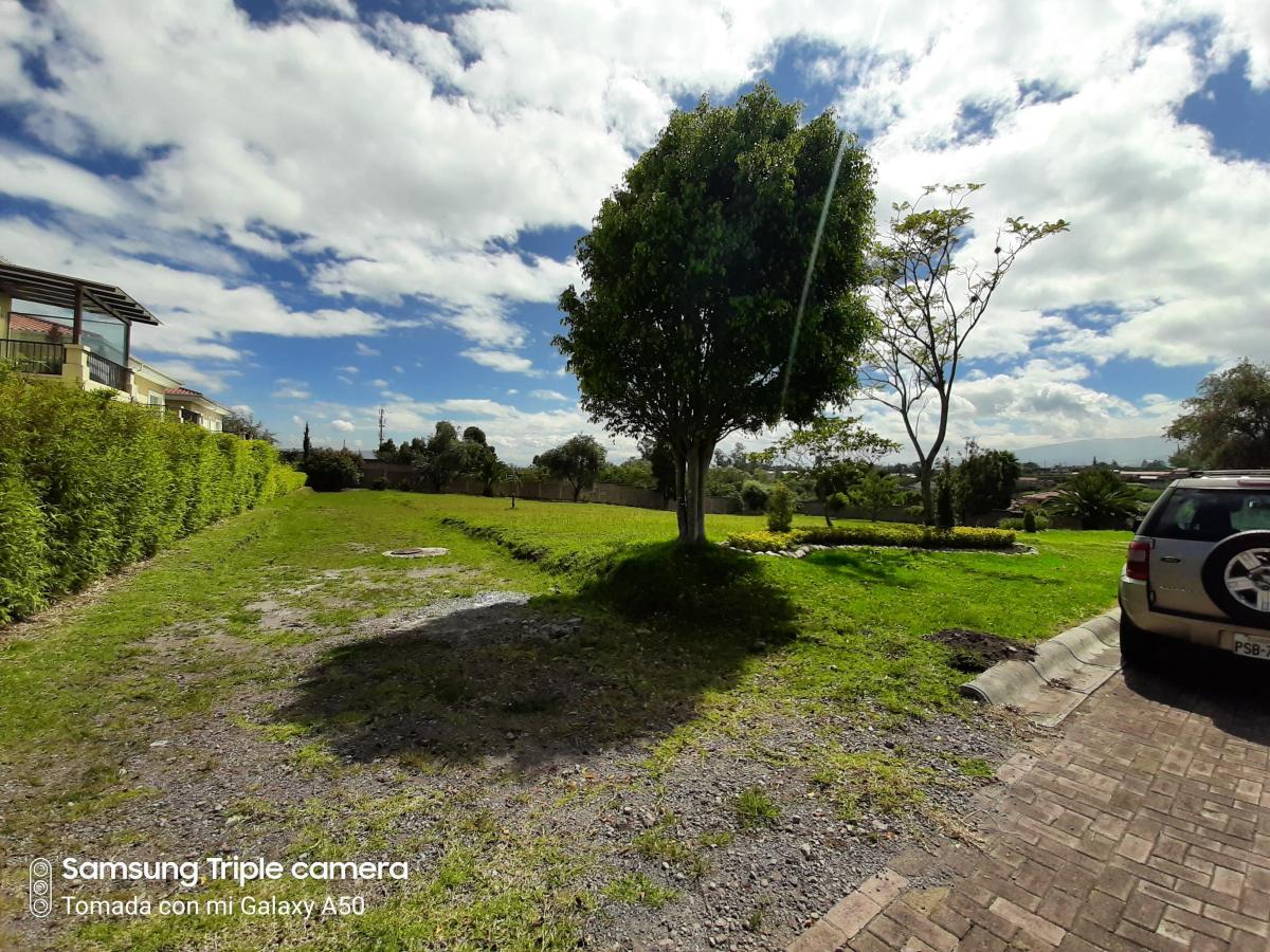 Puembo Dentro Urbanizacion Exclusiva Vendo 2.350 m² Terreno Plano — imagen 8