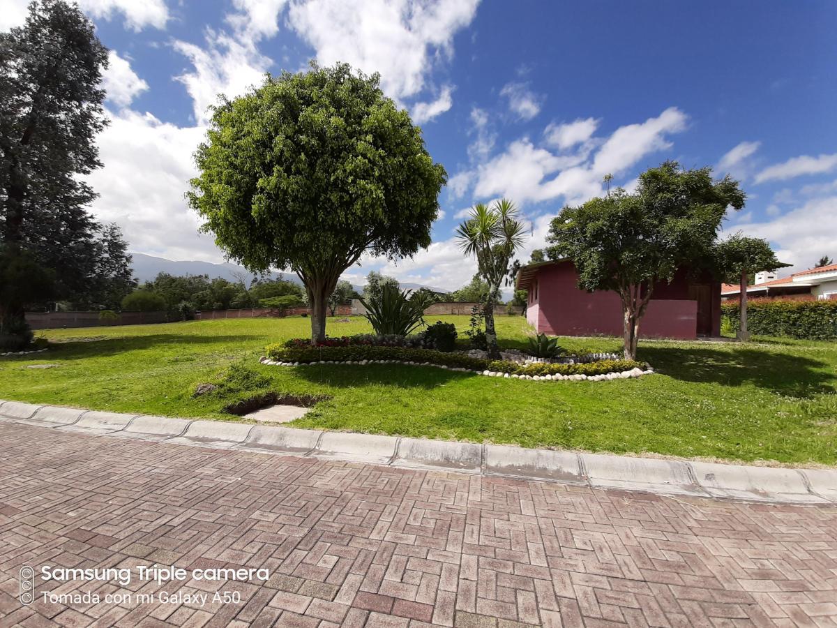Puembo Dentro Urbanizacion Exclusiva Vendo 2.350 m² Terreno Plano — imagen 7