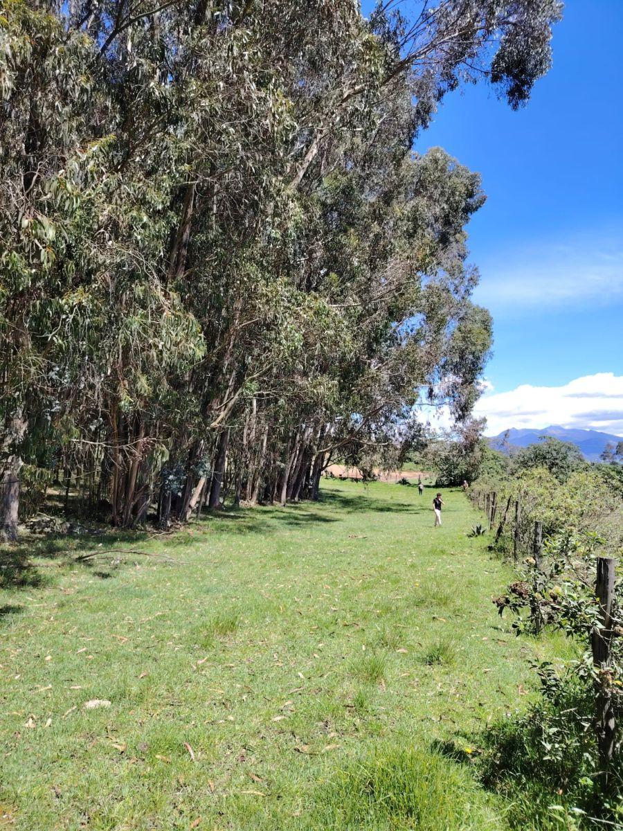 Terreno de Venta en Aloasí, Machachi — imagen 8