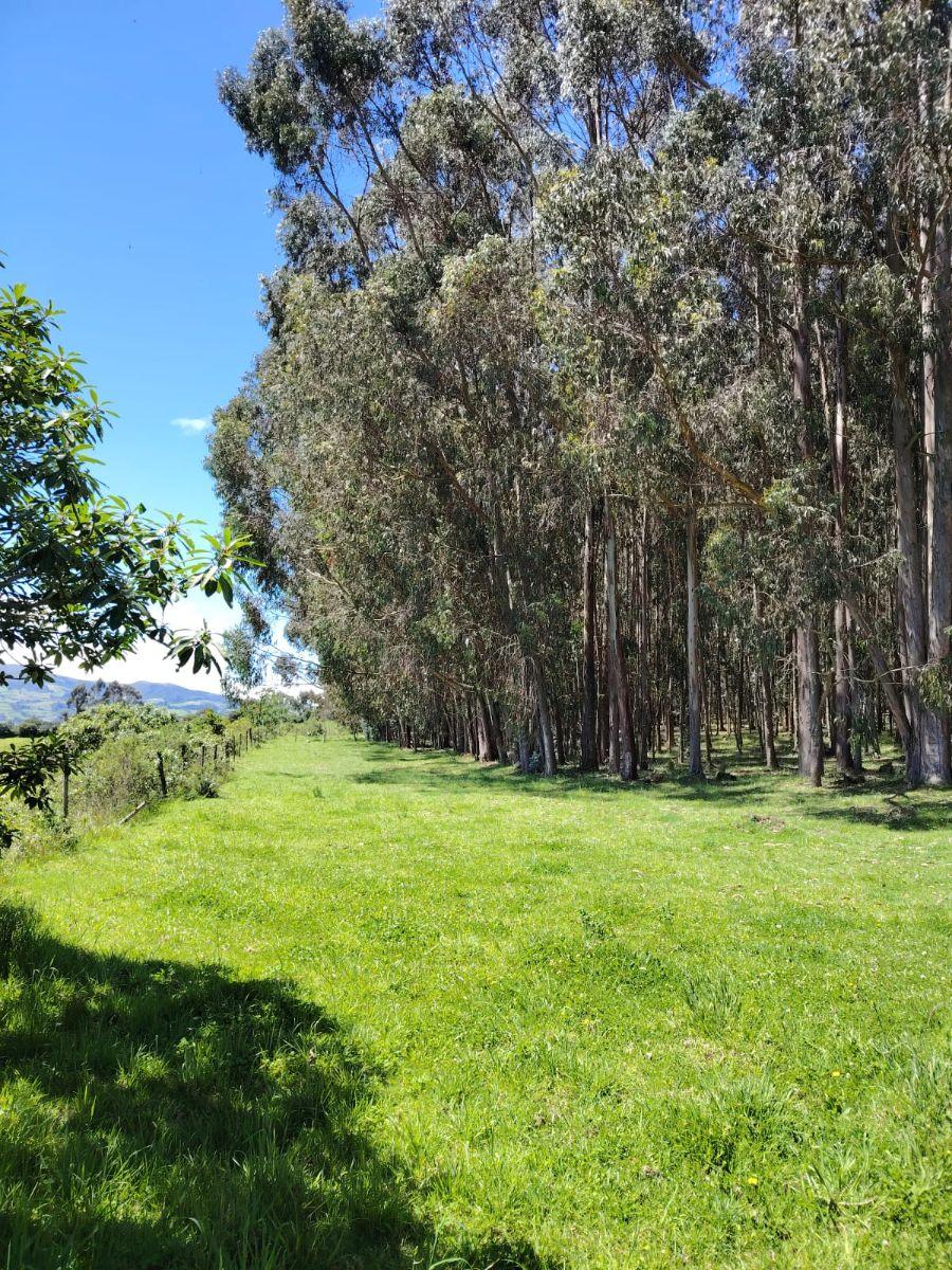 Terreno de Venta en Aloasí, Machachi — imagen 7