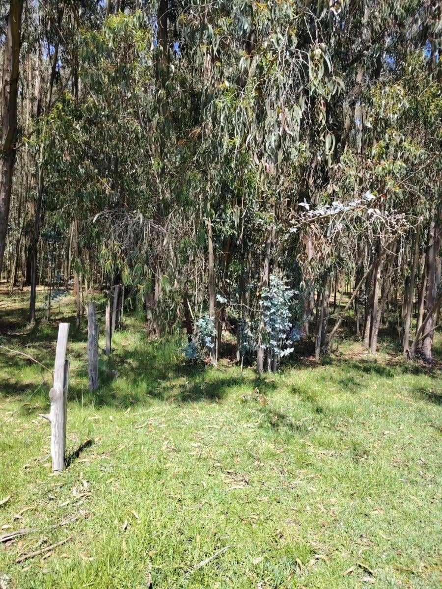 Terreno de Venta en Aloasí, Machachi — imagen 6