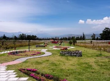 Lotes de Terreno en Malchingui Urbanización Paseo de Los Algarrobos — imagen 5
