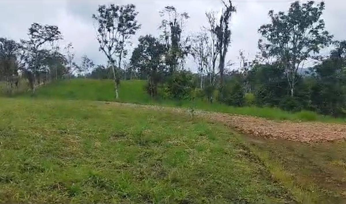 San Miguel de Los Bancos Terreno de Venta — imagen 10