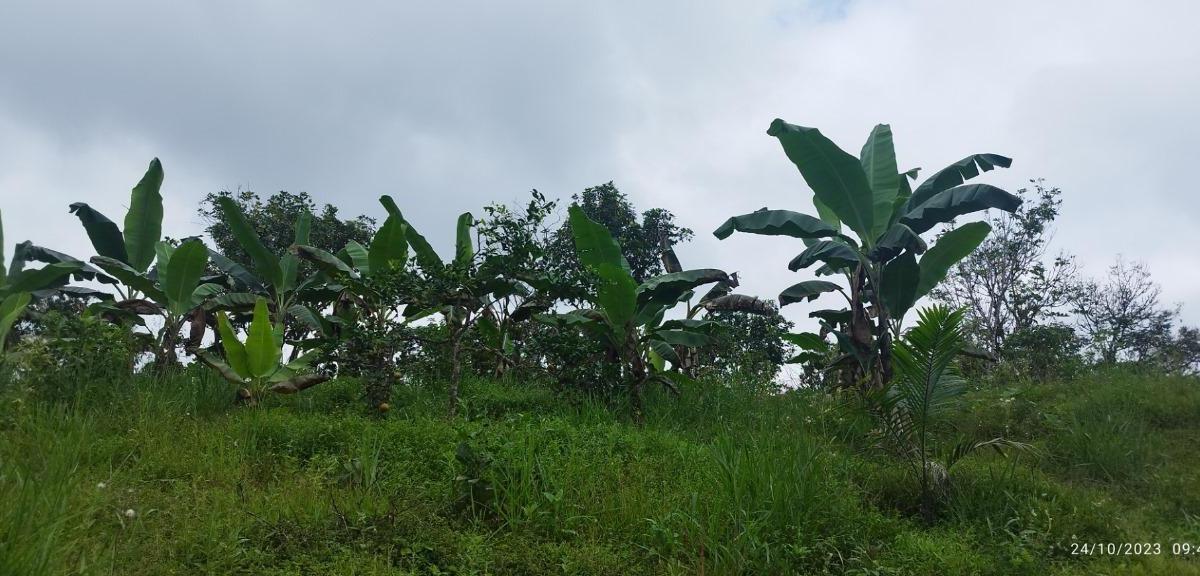 San Miguel de Los Bancos Terreno de Venta — imagen 9