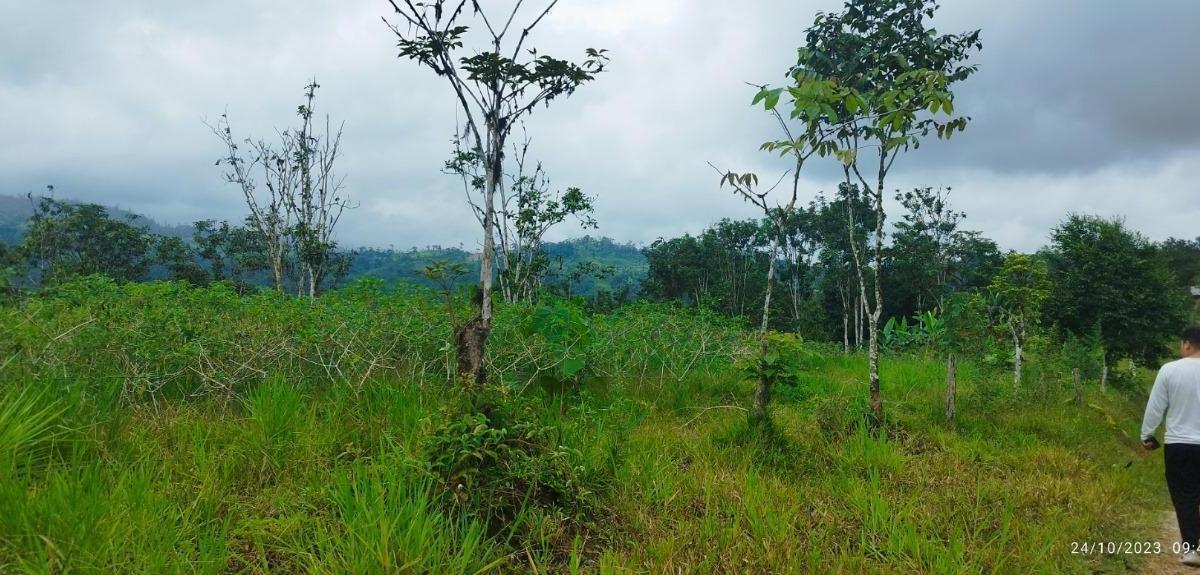 San Miguel de Los Bancos Terreno de Venta — imagen 8