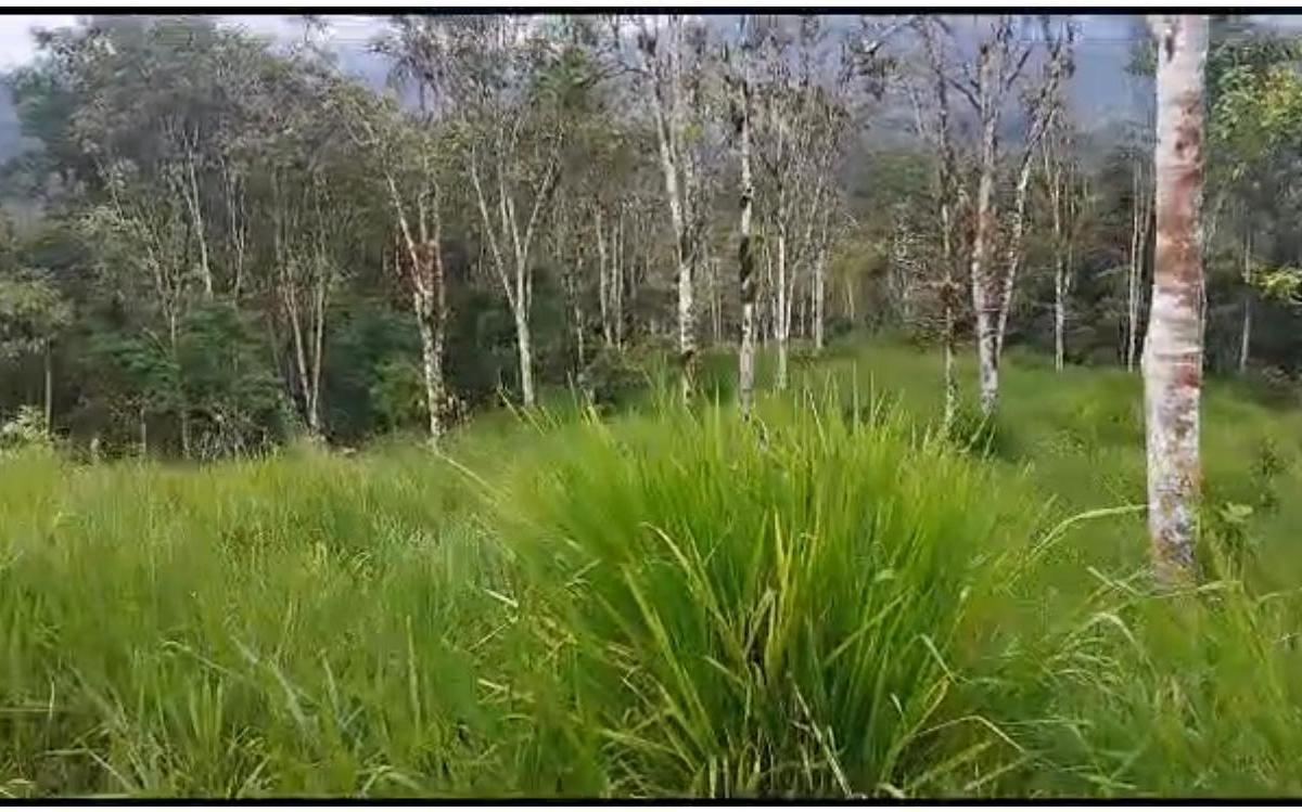 San Miguel de Los Bancos Terreno de Venta — imagen 7