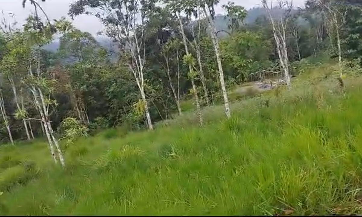 San Miguel de Los Bancos Terreno de Venta — imagen 6