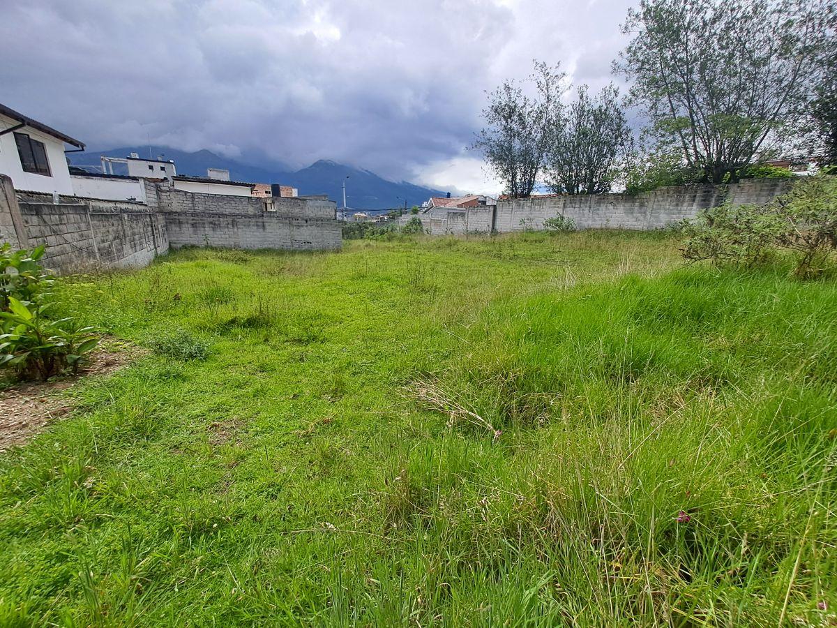 Terreno en Venta en Urbanización Portón de Bellavista — imagen 2