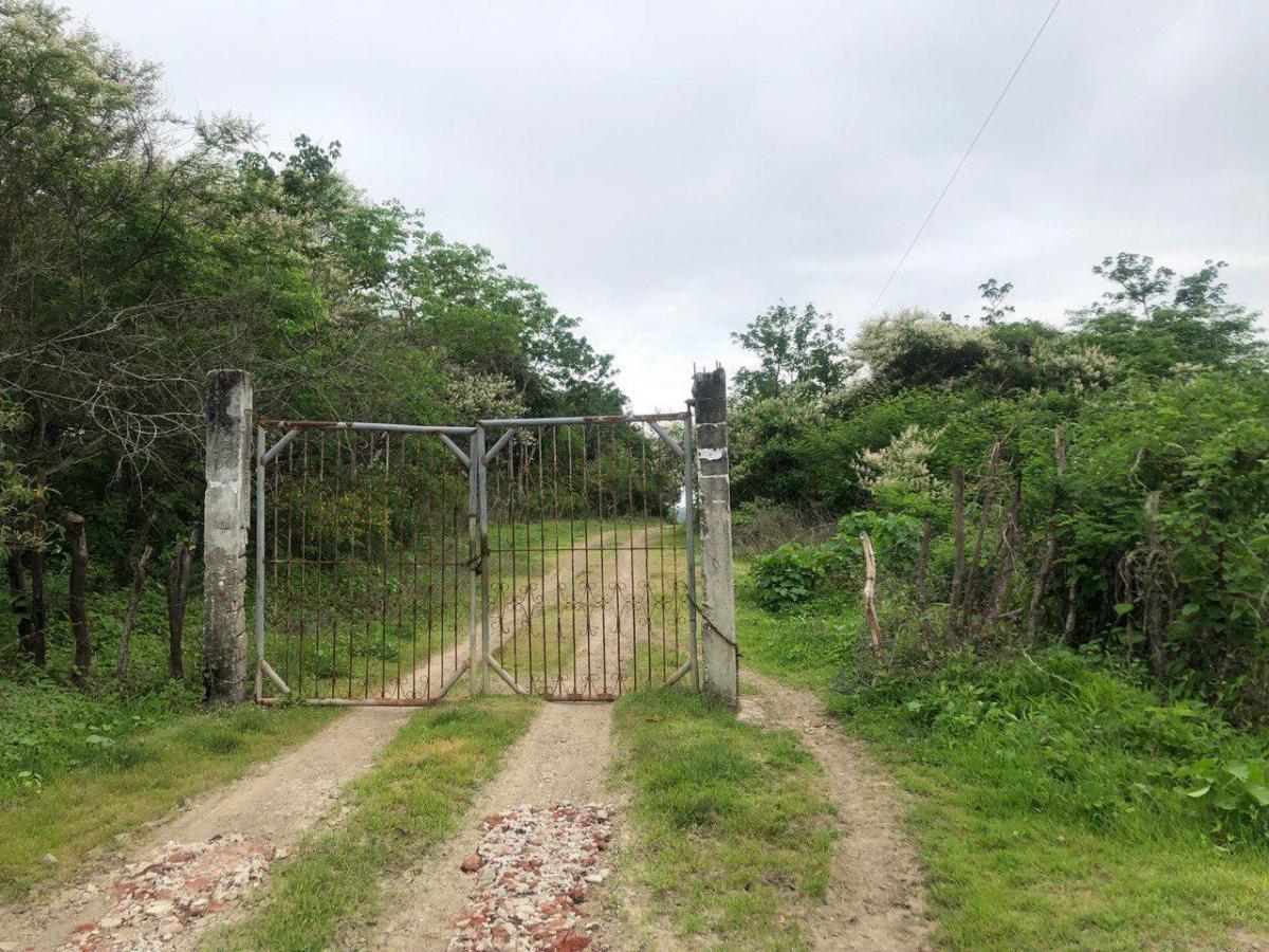 Macrolote de Venta en Daular, Guayas — imagen 7