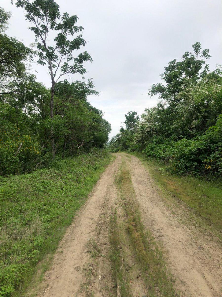 Macrolote de Venta en Daular, Guayas — imagen 6