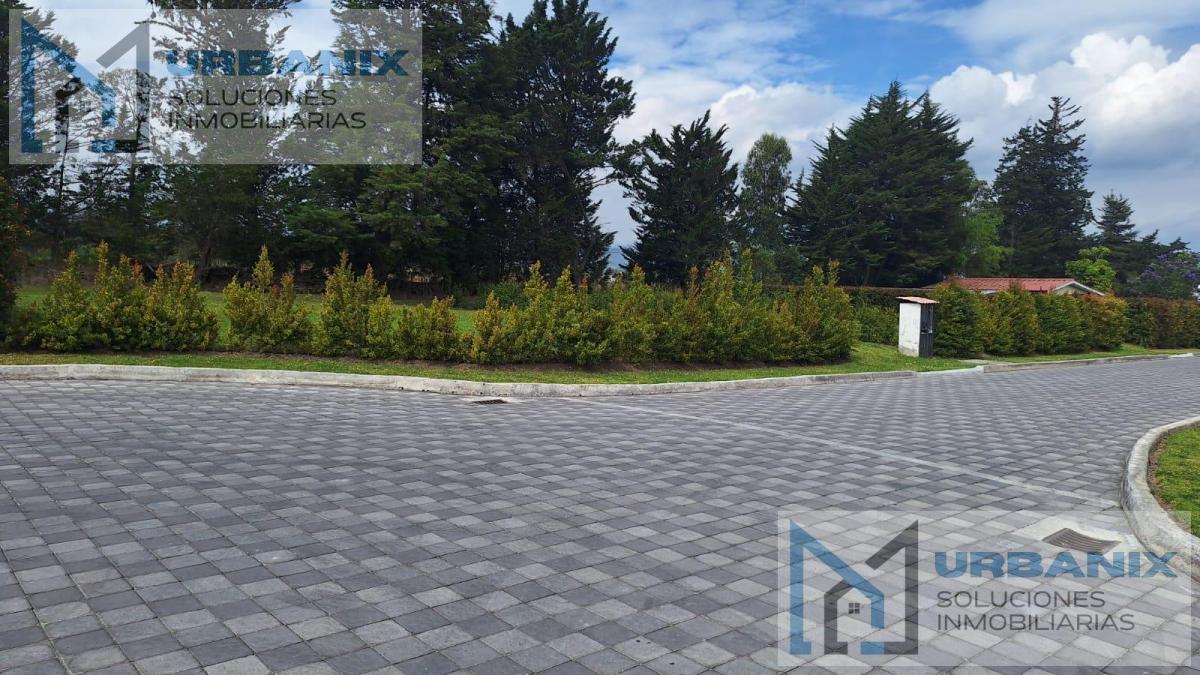 Terreno en Puembo — imagen 9