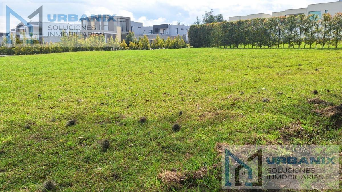 Terreno en Puembo — imagen 7