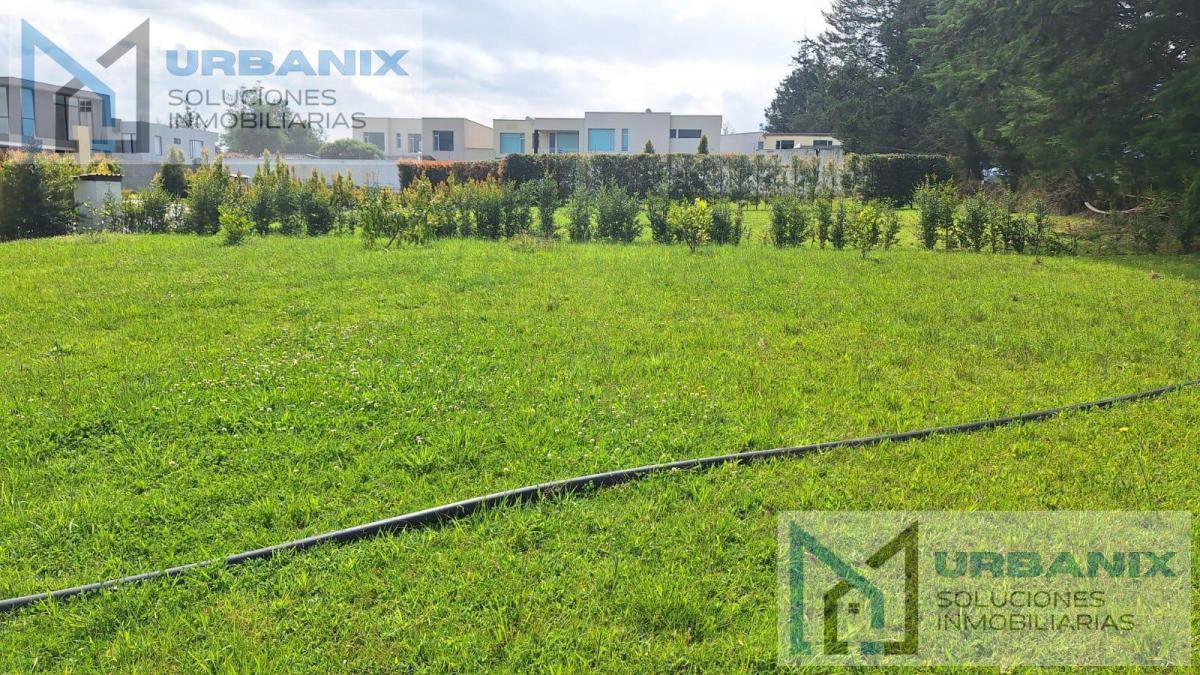 Terreno en Puembo — imagen 6