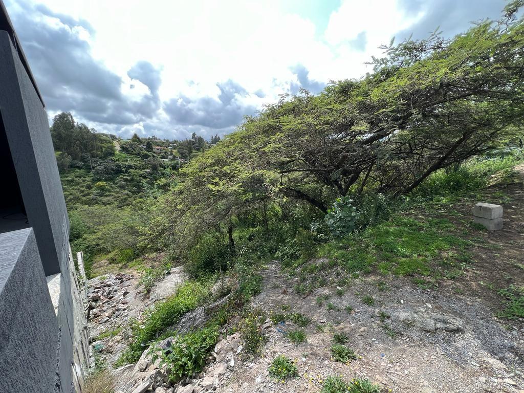 Terreno en Venta Sector Puembo — imagen 9