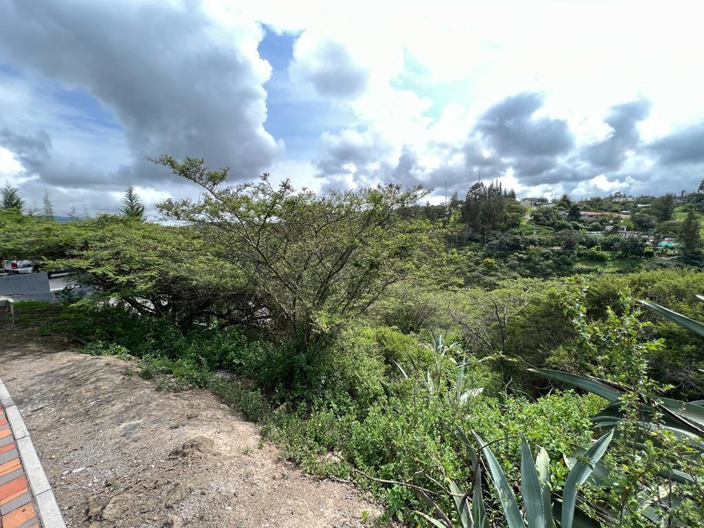 Terreno en Venta Sector Puembo — imagen 8