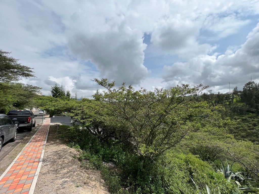 Terreno en Venta Sector Puembo — imagen 7