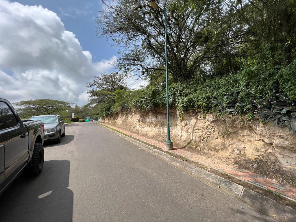 Terreno en Venta Sector Puembo — imagen 6