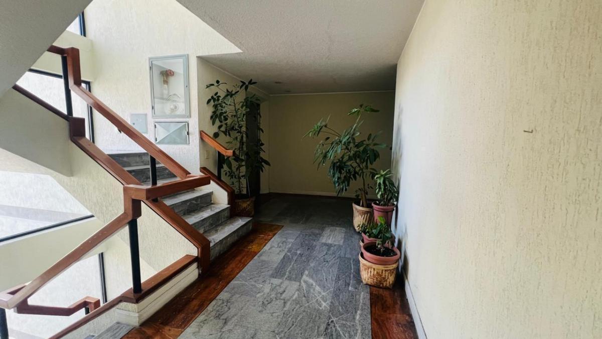 Departamento en Venta, Sector El Bosque, 3 Dorm. — imagen 8