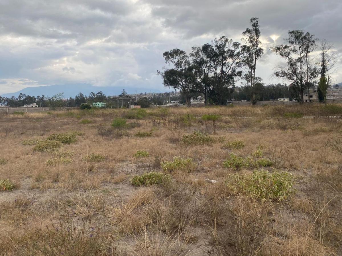 Terreno de 24900 m² en Venta en Calderón — imagen 10