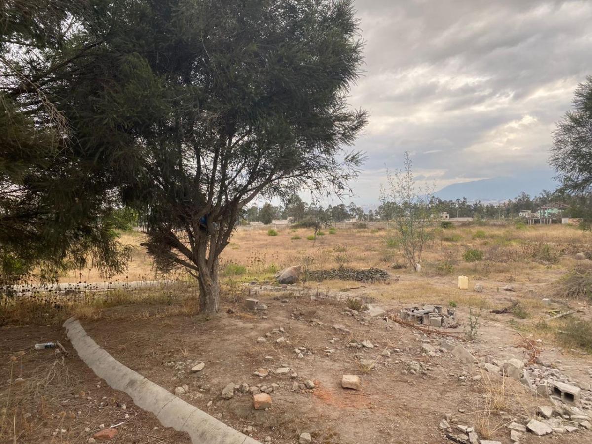 Terreno de 24900 m² en Venta en Calderón — imagen 9