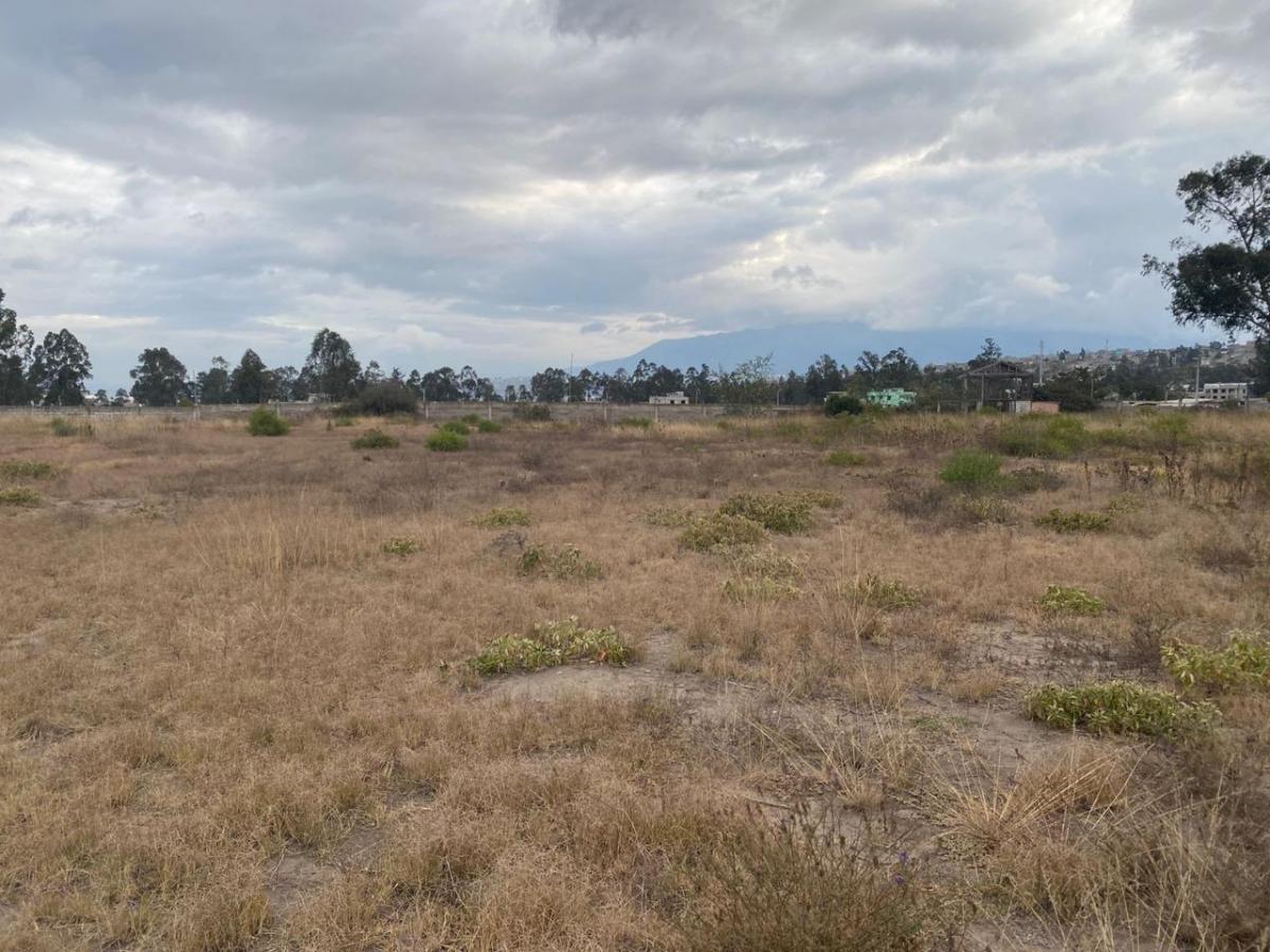 Terreno de 24900 m² en Venta en Calderón — imagen 7