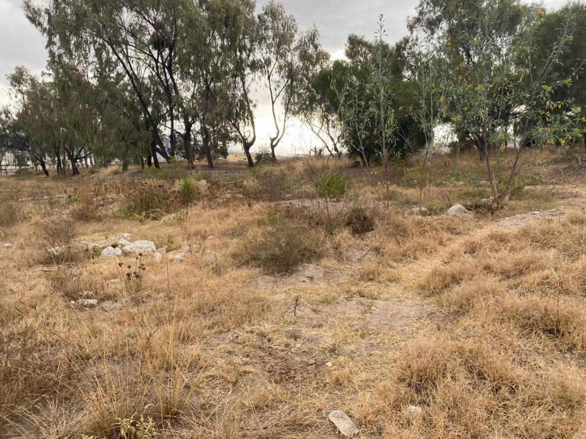 Terreno de 24900 m² en Venta en Calderón — imagen 6