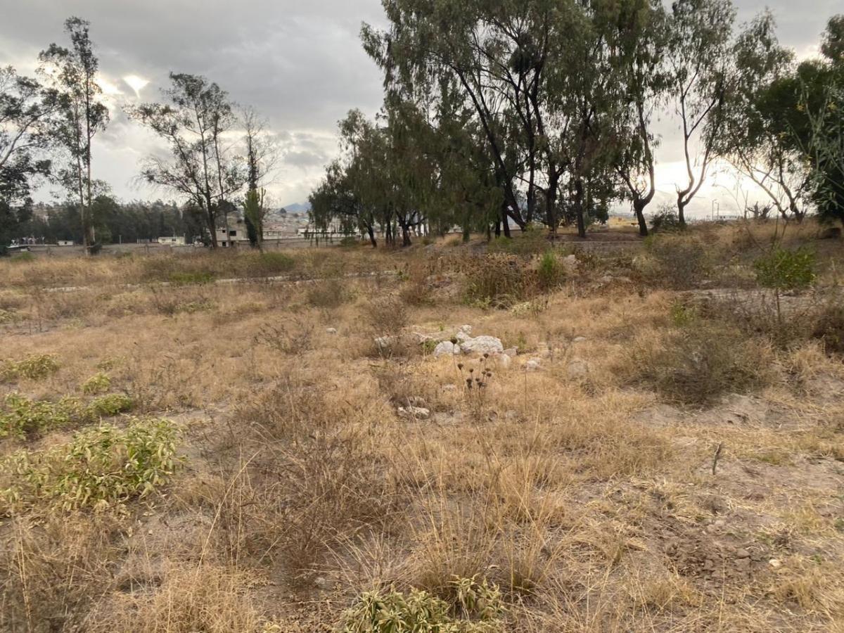 Terreno de 24900 m² en Venta en Calderón — imagen 2