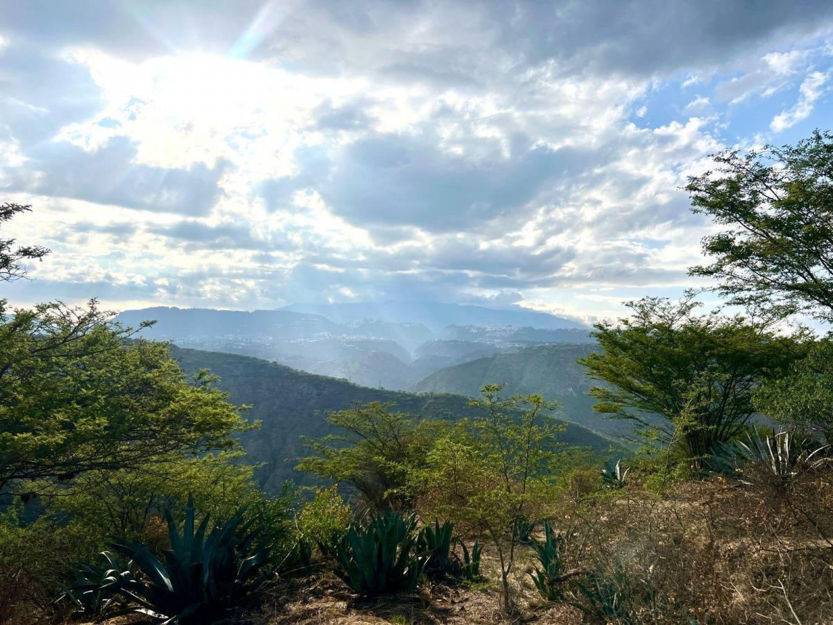 Mv - Sector Arrayanes en Venta Terreno 1800 m², en Urbanización El Ingenio con Hermosa Vista Al Cañón — imagen 9