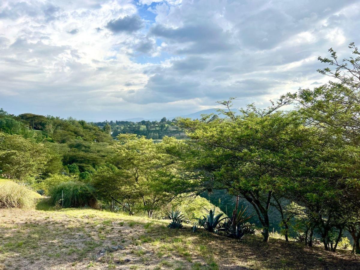 Mv - Sector Arrayanes en Venta Terreno 1800 m², en Urbanización El Ingenio con Hermosa Vista Al Cañón — imagen 8