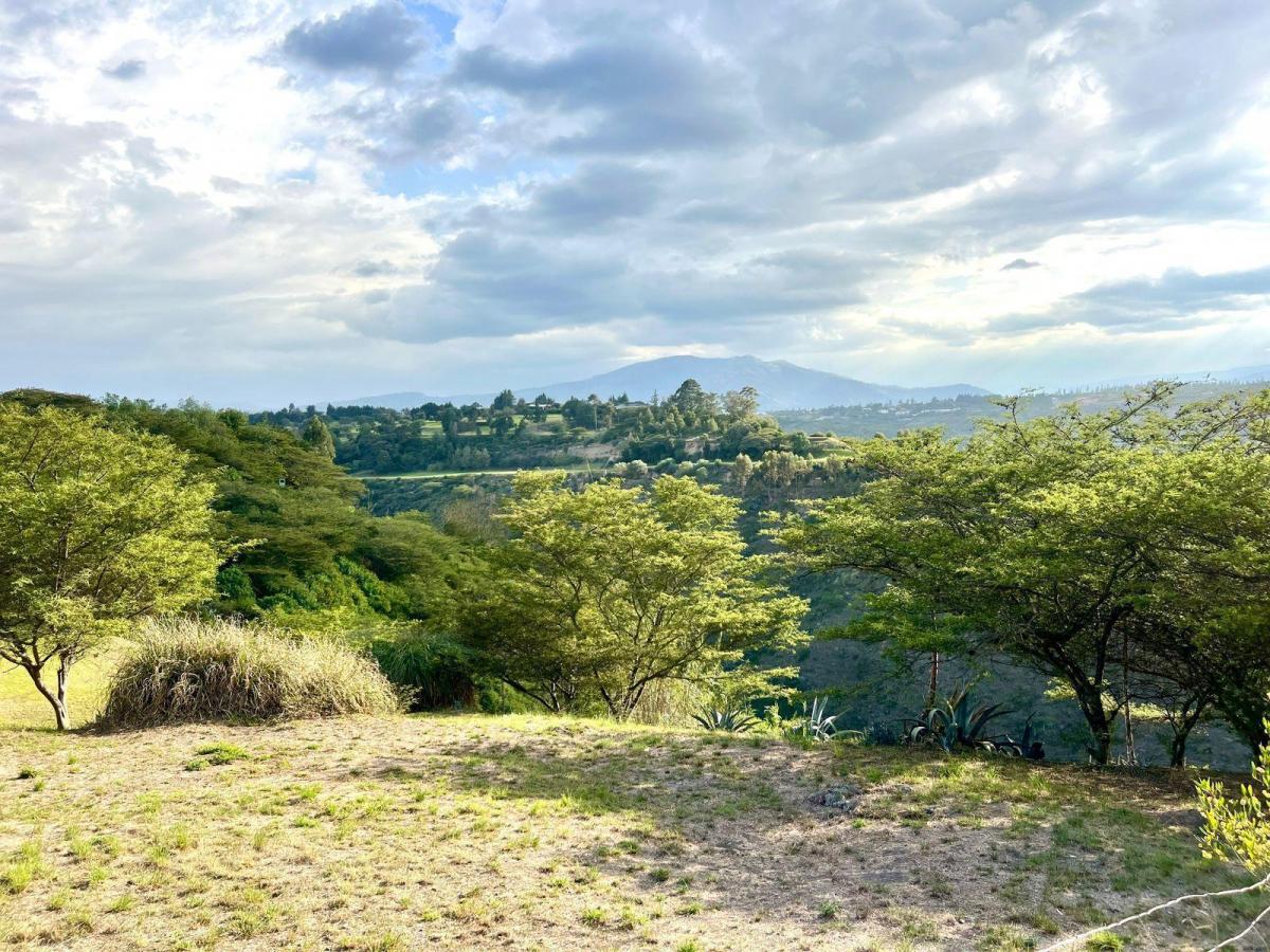 Mv - Sector Arrayanes en Venta Terreno 1800 m², en Urbanización El Ingenio con Hermosa Vista Al Cañón — imagen 7