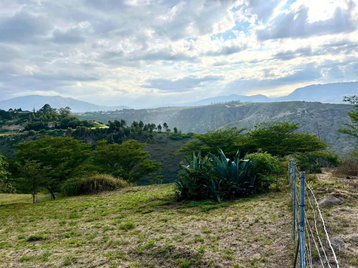 Mv - Sector Arrayanes en Venta Terreno 1800 m², en Urbanización El Ingenio con Hermosa Vista Al Cañón — imagen 6