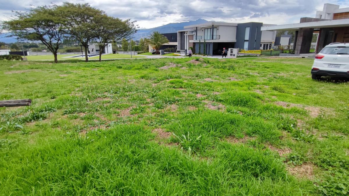 Venta Terreno Tumbaco Urbanización Exclusiva Colegio Cervantes 1096 m² — imagen 7