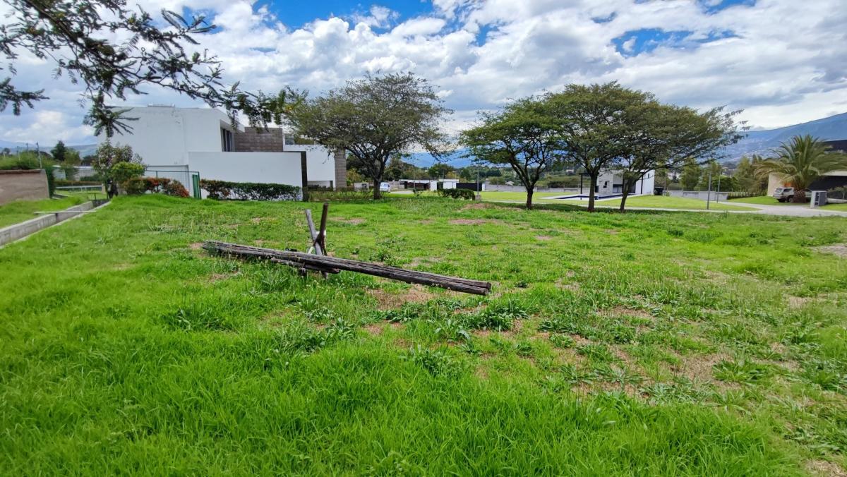 Venta Terreno Tumbaco Urbanización Exclusiva Colegio Cervantes 1096 m² — imagen 6